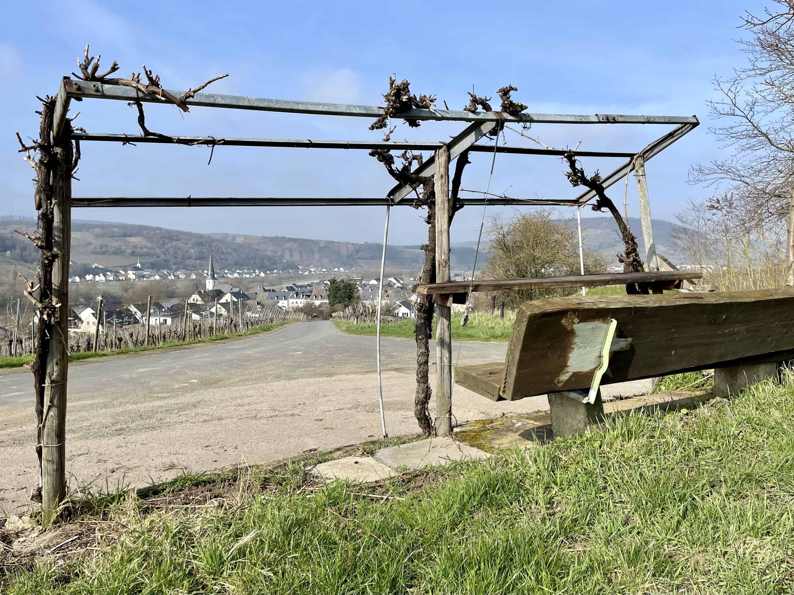 Eurostrand Weinbergwanderung Detzem